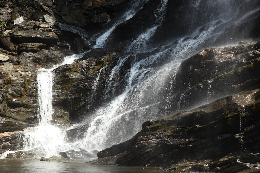 Arasina Gundi Image 1