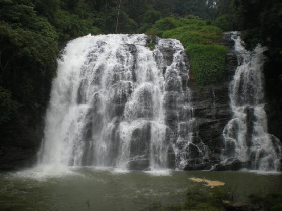 Arasina Gundi Image 3